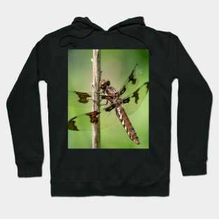 Delicate Landing, Dragonfly Photograph Hoodie